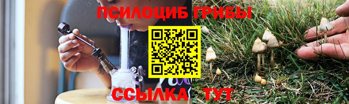 Псилоцибиновые грибы Cubensis Хасавюрт