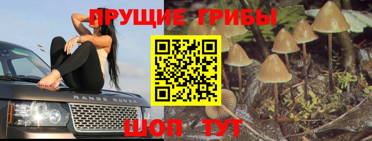 Хасавюрт  Псилоцибиновые грибы Magic Shrooms  Вход с VPN 